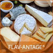 FLAV-ANTAGE  FAA4    10D