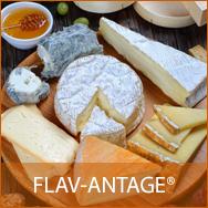 FLAV-ANTAGE GCA 10D