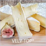 VELV-TOP PC TN 10D