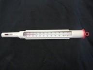 Floating Thermometer - 8 in Dairy Type Thermometer